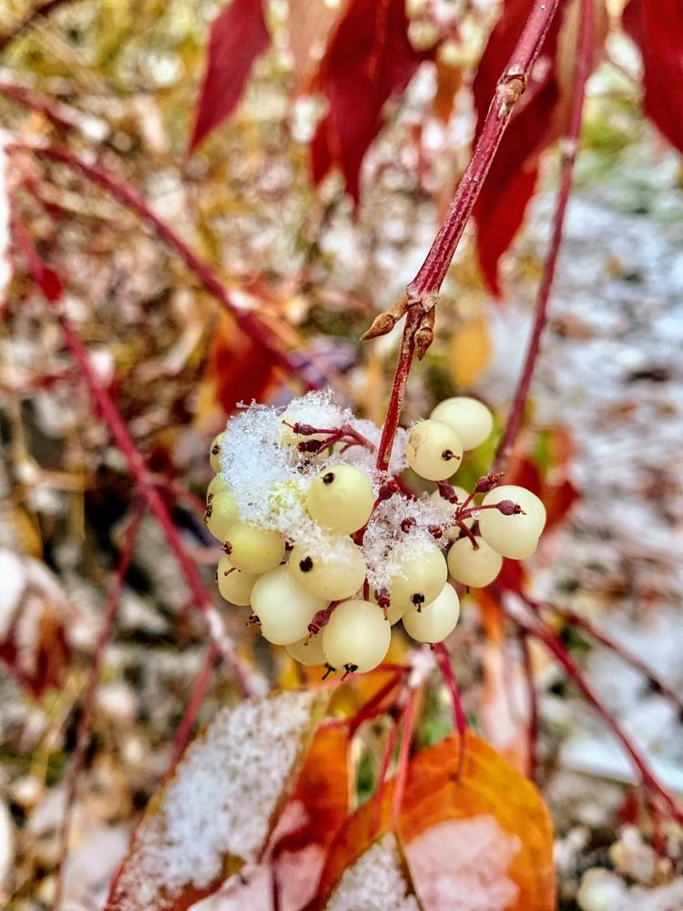 Photograph by Светлана Хохлова