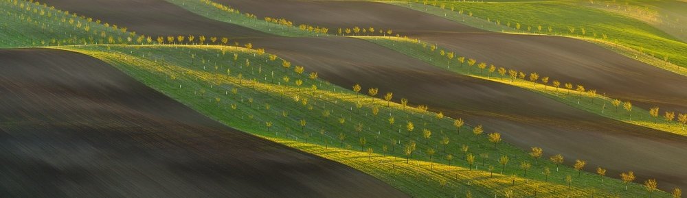 Green belts on the moravia