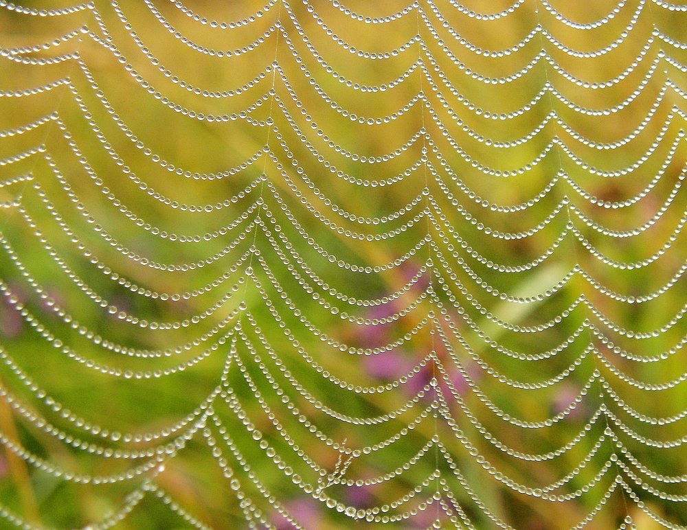 Бисерная занавесочка