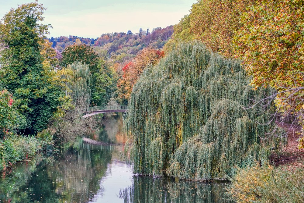 Photograph by Алексей Зенякин