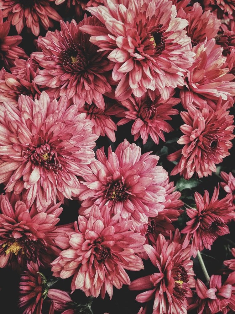 Photograph by Рыжик Алёна