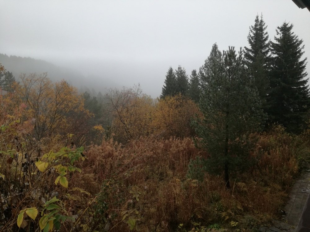 Photograph by Plamen
