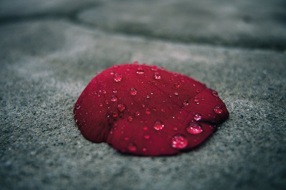 Photograph by Виталий Павлов