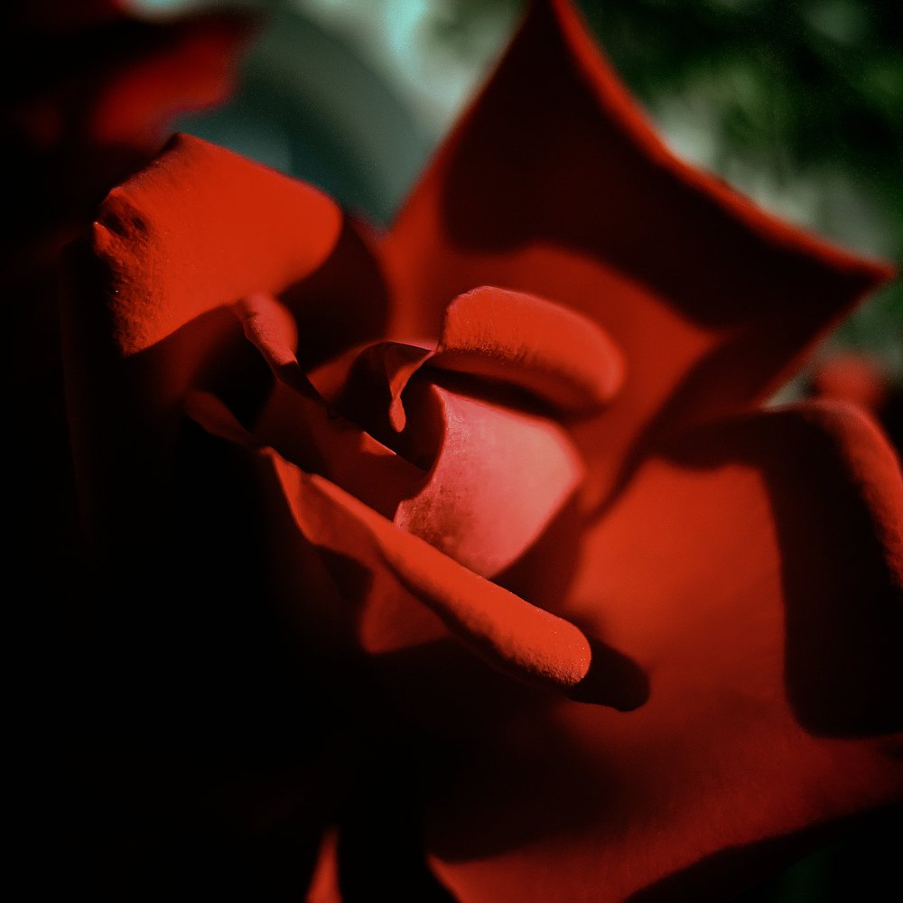 Photograph by Виталий Павлов