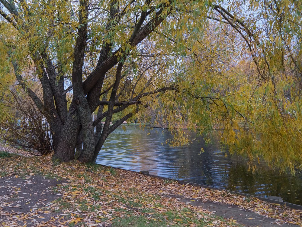 Photograph by Михаил Шохин
