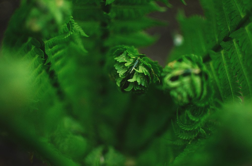 Фотография автора Виктория