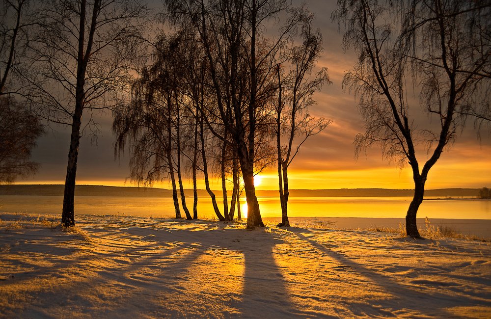 Photograph by Алексей Кулаков