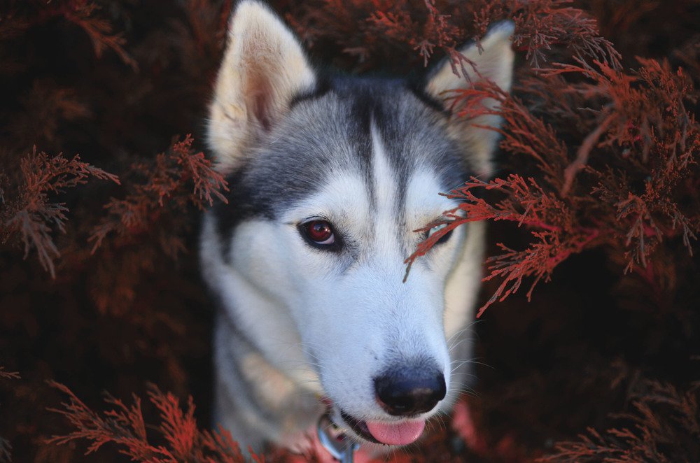 Фотография автора Виктория