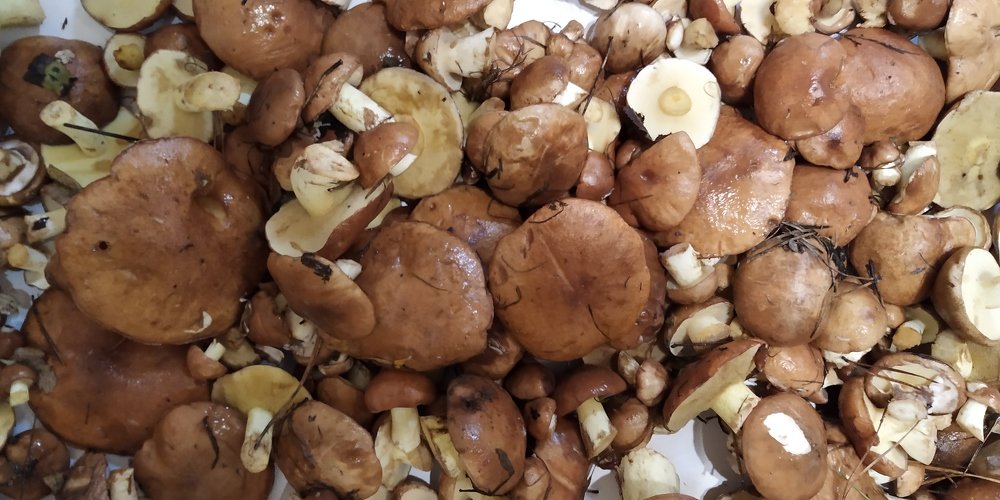 Photograph by Sofya Seredkina