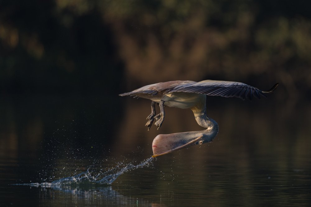 Photograph by Zhayynn James