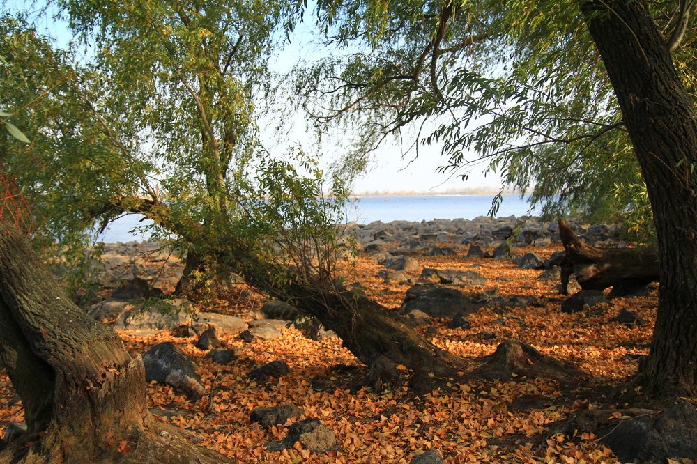 Photograph by Инга Крыжановская