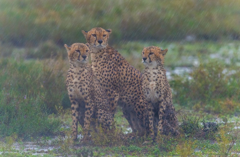 Photograph by Zhayynn James