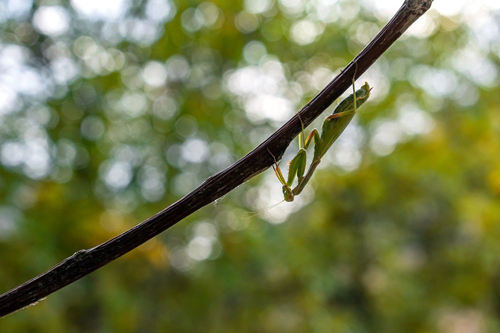 Photograph by hadi