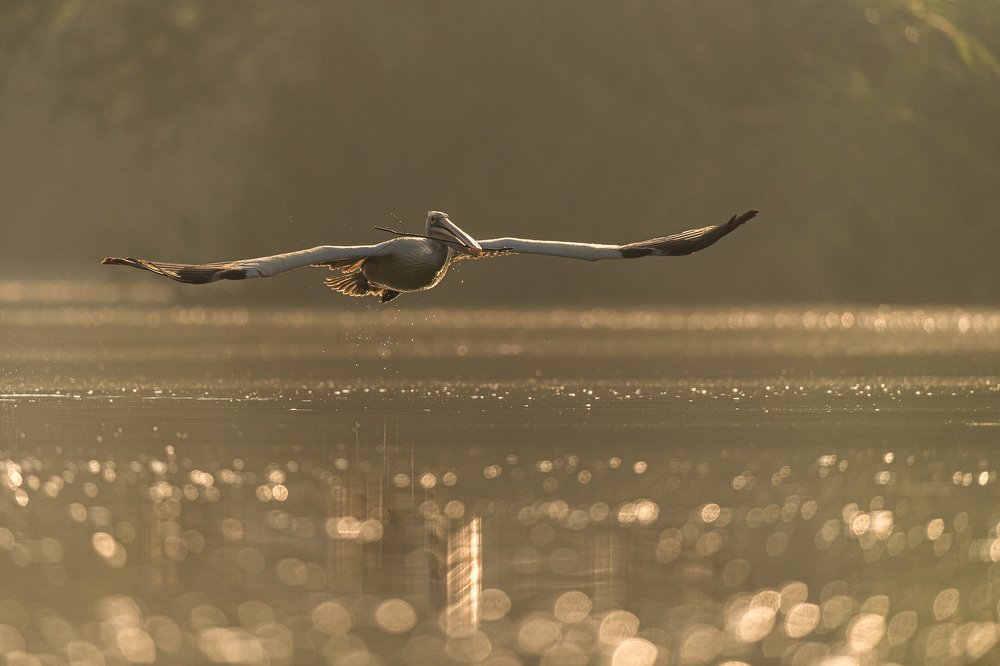 Photograph by Zhayynn James