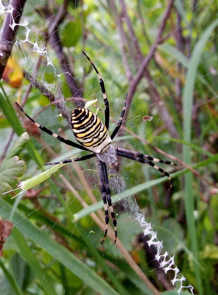 Photograph by Светлана Фёдорова