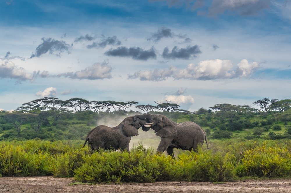 Photograph by Zhayynn James