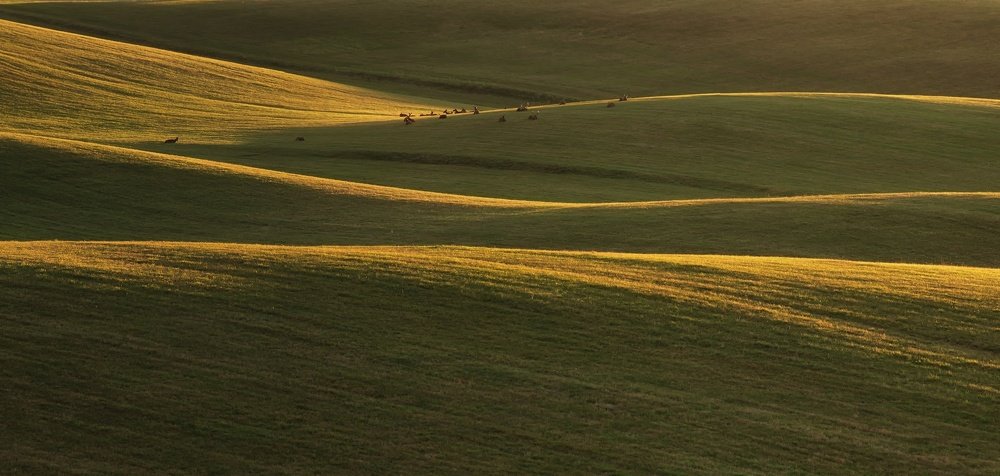 Photograph by Jozef Morgoš