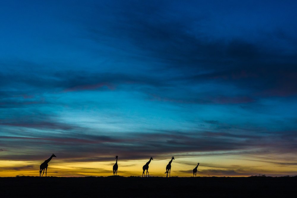 Photograph by Zhayynn James