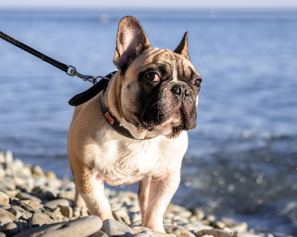 Photograph by Сергей Ганачьян