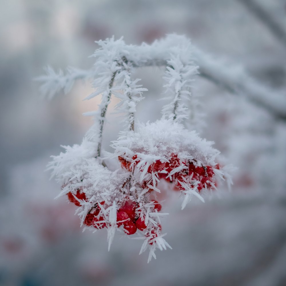 Photograph by Юрьевич Юрий