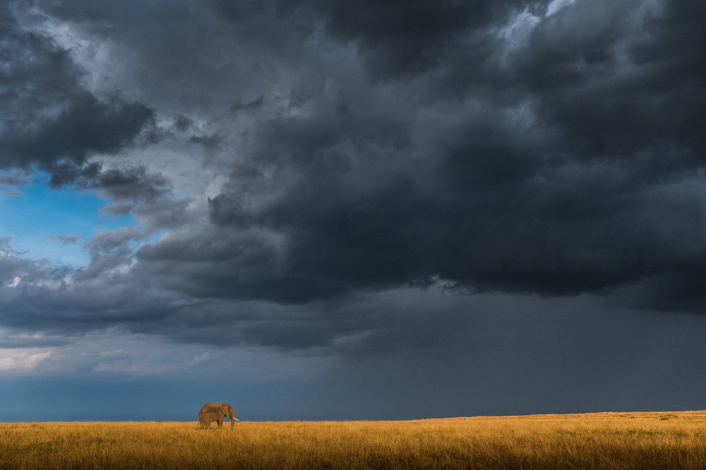 Photograph by Zhayynn James