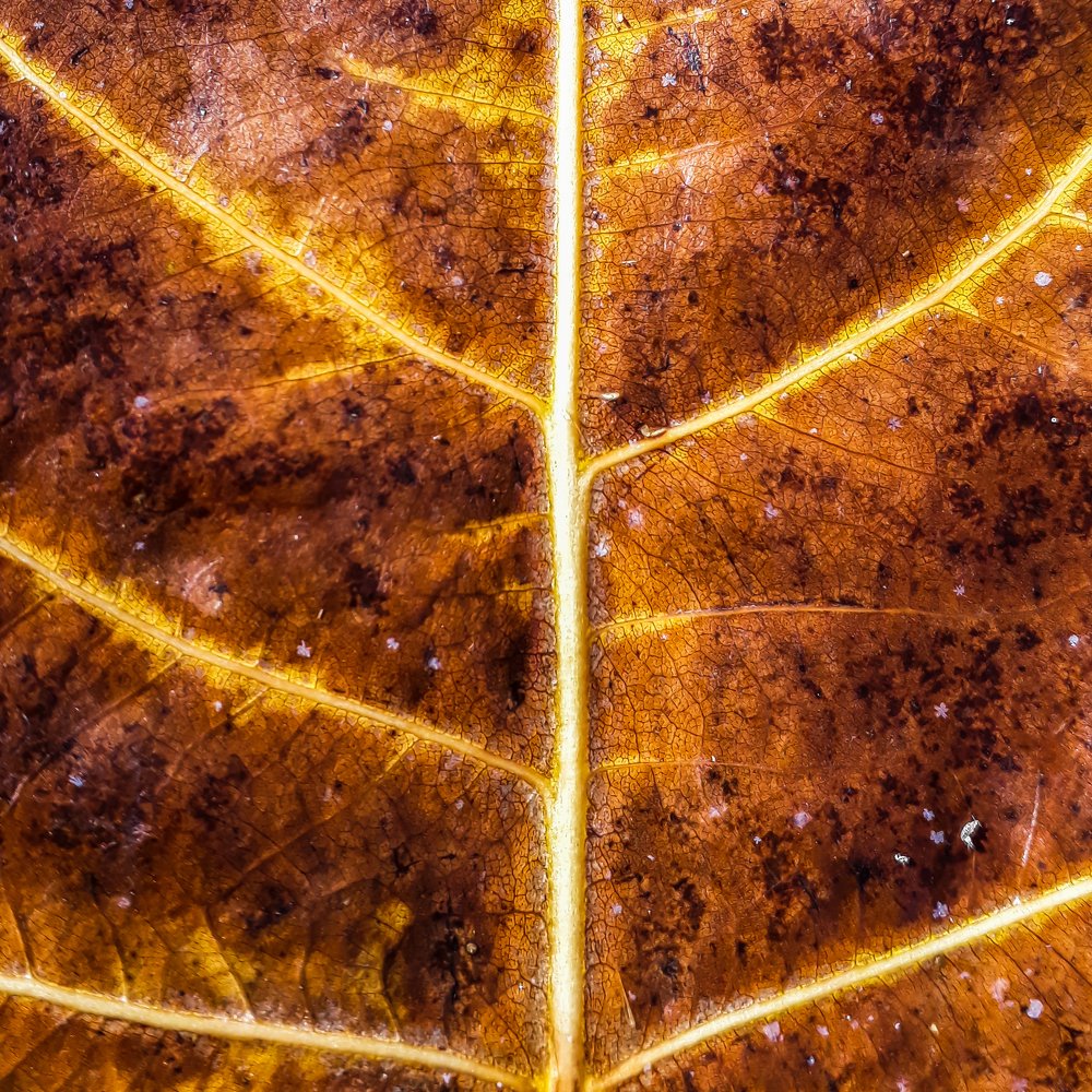 Фотография автора Alipour mohammad