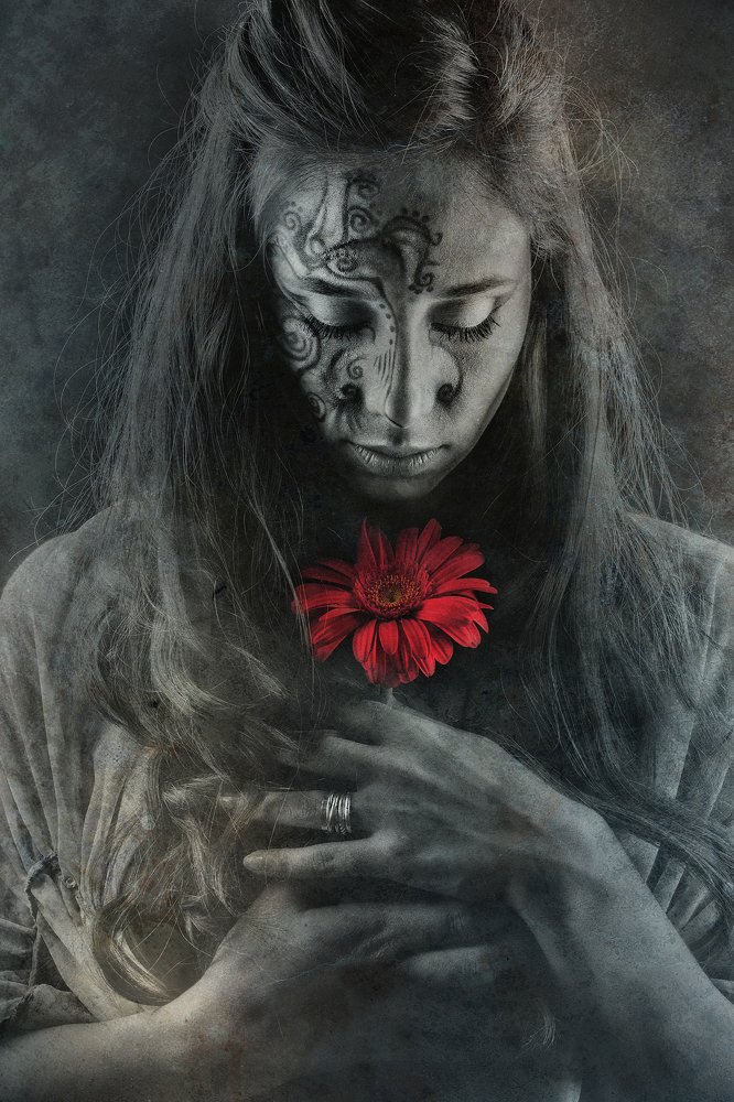 Photograph by Bojan Dzodan