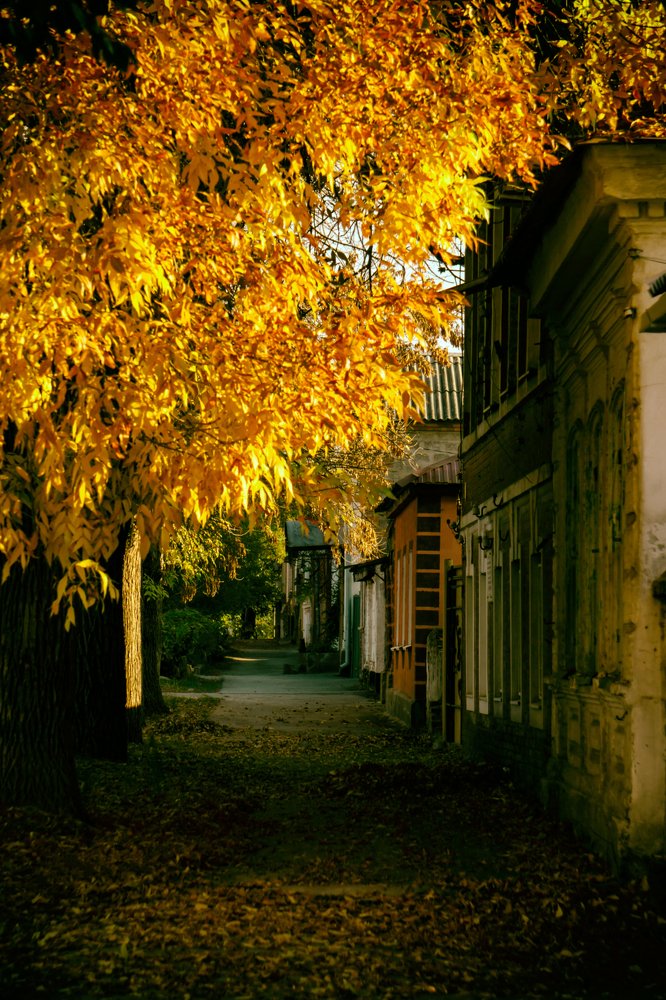 Photograph by Виталий Павлов