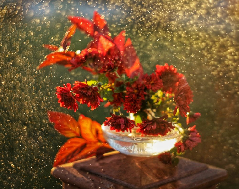 Photograph by Александра Карпцова