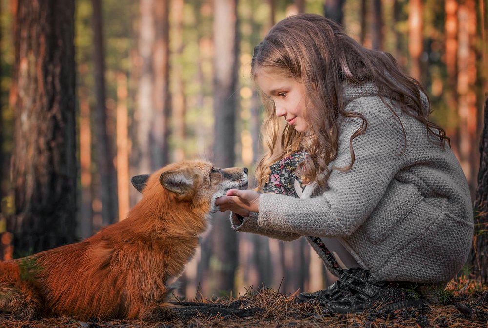 Photograph by Евгения Изранова