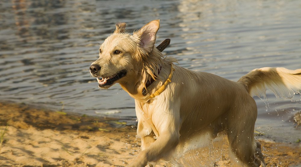 Photograph by Алина Абрамова