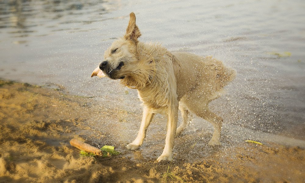 Photograph by Алина Абрамова