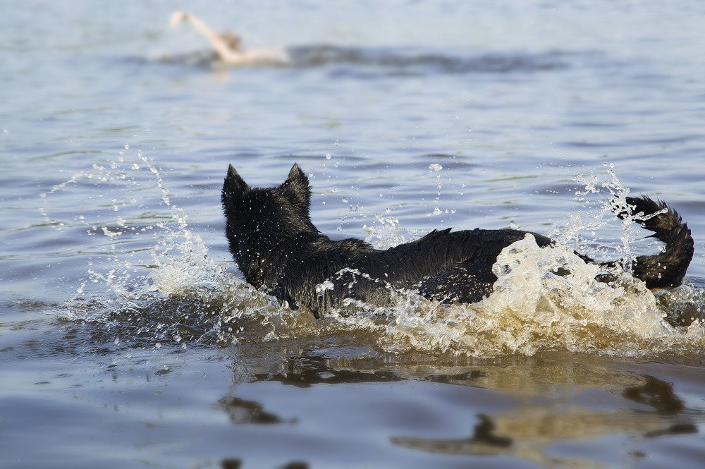 Photograph by Алина Абрамова