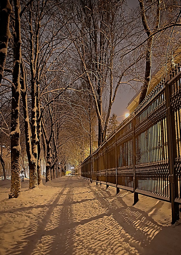 Photograph by Владимир Зорькин