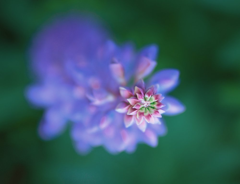 Летящий к свету...