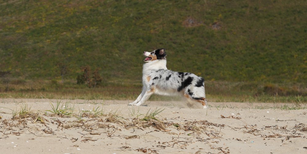 Photograph by Антонов Алексей