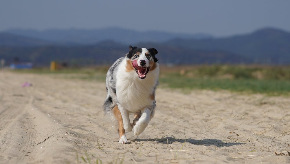 Photograph by Антонов Алексей