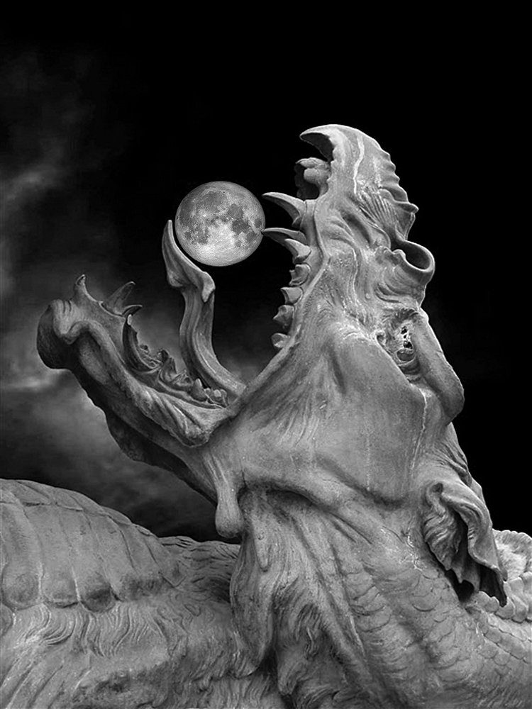 Photograph by Manche