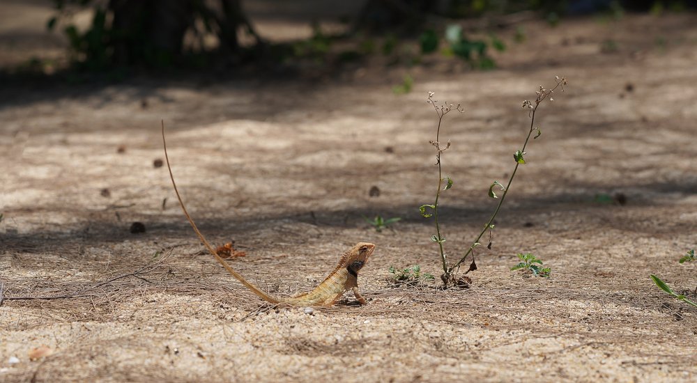 Photograph by Антонов Алексей