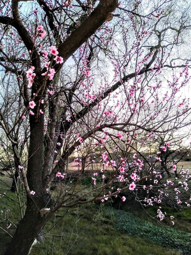 Photograph by Sandra Verónica Bertorello