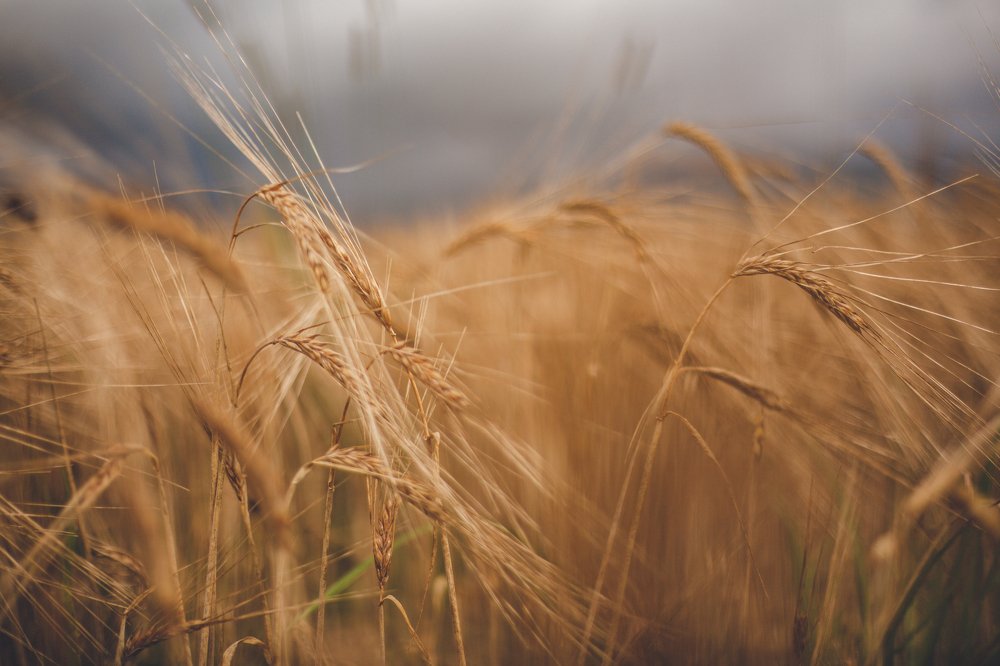 Photograph by Михаил Кондрухов