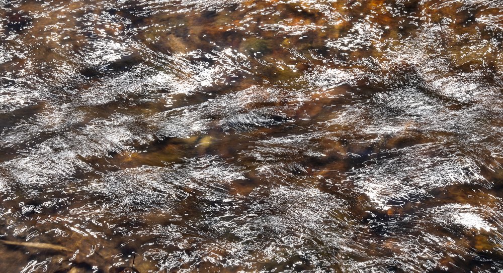 Photograph by Антонов Алексей