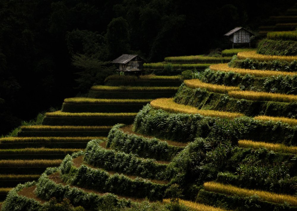 Photograph by Ирина Шевакова