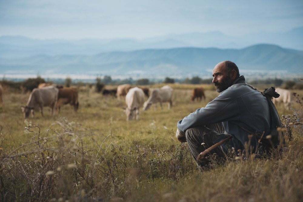 Photograph by Mohammed AlBadrani