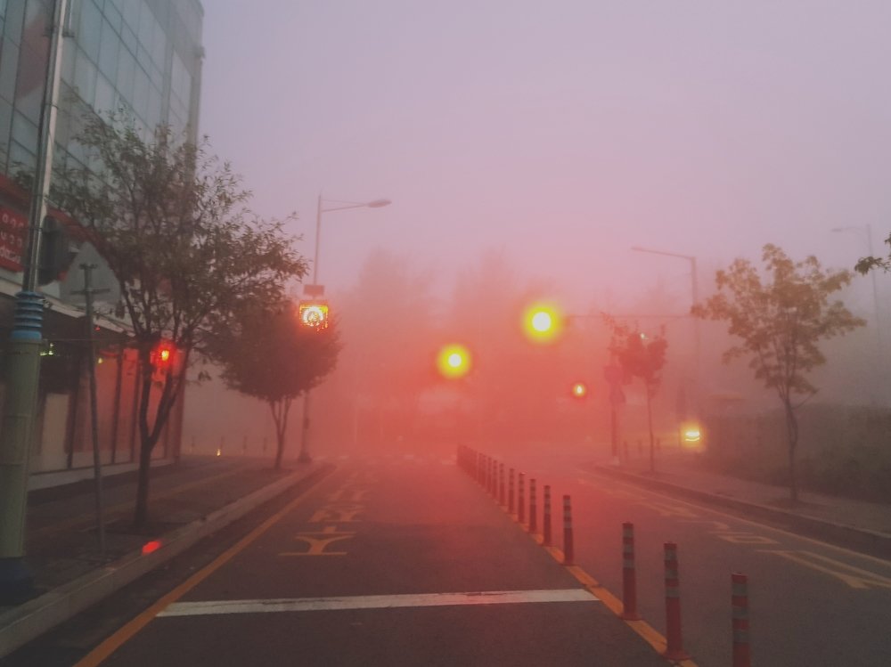 Photograph by Анна Цхай