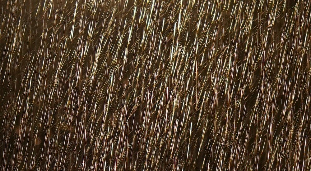 Photograph by Антонов Алексей