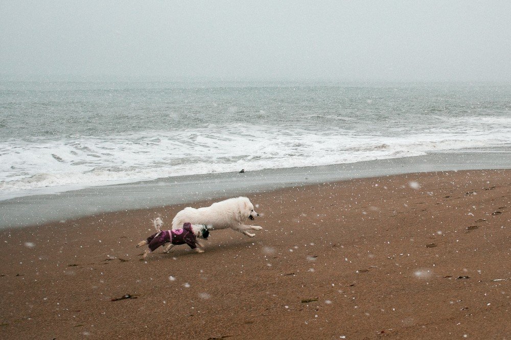 Photograph by Семён Муратов