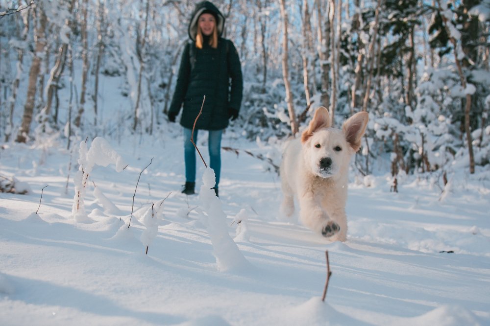 Photograph by Семён Муратов