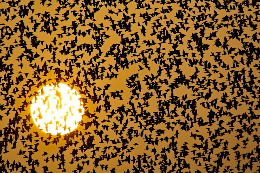 Photograph by Lev Prilutsky