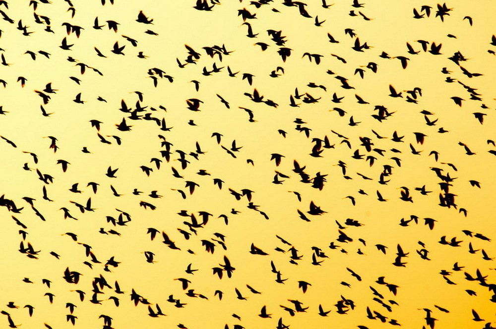 Photograph by Lev Prilutsky